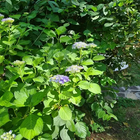 Axarquia De Gredos Arenas de San Pedro
