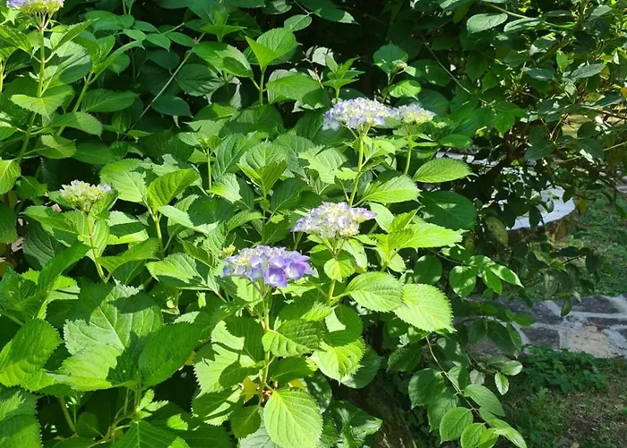Axarquia De Gredos Arenas de San Pedro